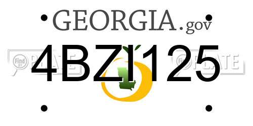 4BZI125 Georgia License Plate