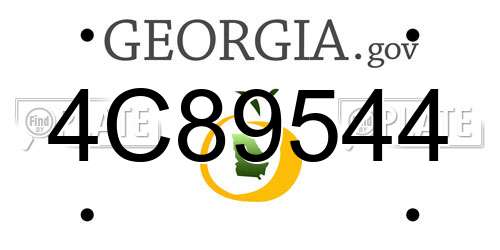 4C89544 Georgia License Plate