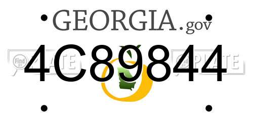 4C89844 Georgia License Plate