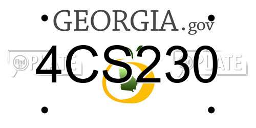 4CS230 Georgia License Plate