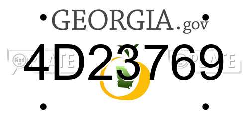 4D23769 Georgia License Plate