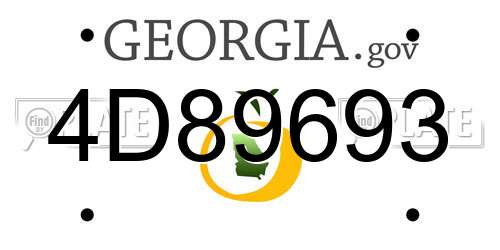 4D89693 Georgia License Plate