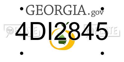 4DI2845 Georgia License Plate