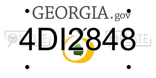 4DI2848 Georgia License Plate