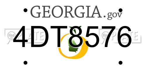 4DT8576 Georgia License Plate