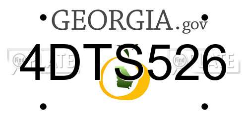 4DTS526 Georgia License Plate