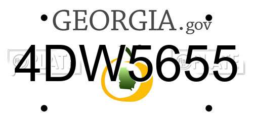 4DW5655 Georgia License Plate