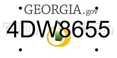 4DW8655 Georgia License Plate