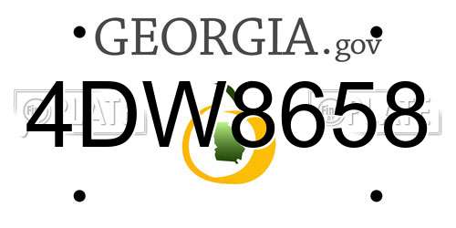 4DW8658 Georgia License Plate