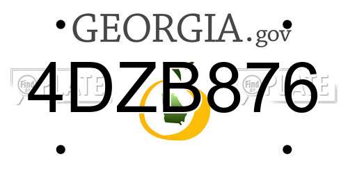 4DZB876 Georgia License Plate