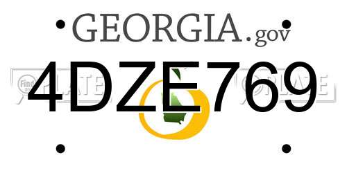 4DZE769 Georgia License Plate