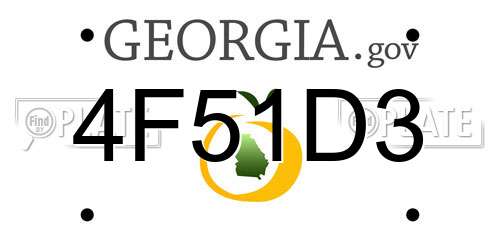 4F51D3 Georgia License Plate