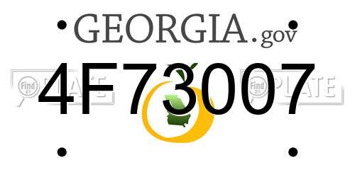 4F73007 Georgia License Plate