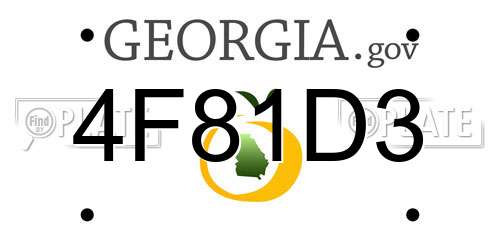 4F81D3 Georgia License Plate