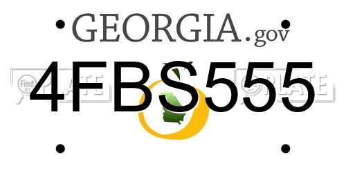 4FBS555 Georgia License Plate