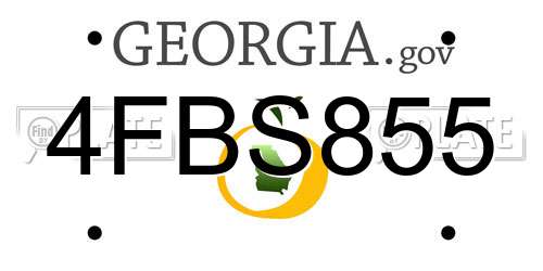 4FBS855 Georgia License Plate