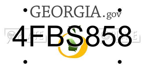 4FBS858 Georgia License Plate