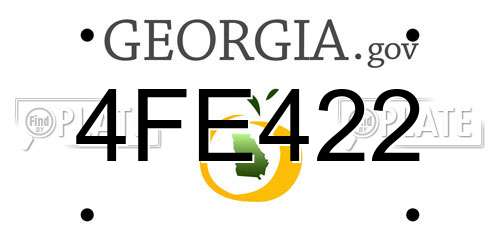4FE422 Georgia License Plate