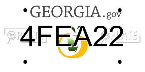 4FEA22 Georgia License Plate