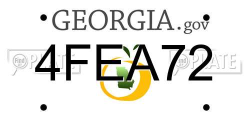 4FEA72 Georgia License Plate