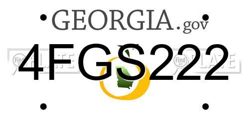 4FGS222 Georgia License Plate