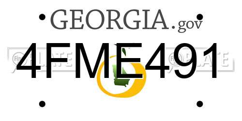 4FME491 Georgia License Plate