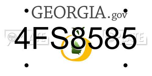 4FS8585 Georgia License Plate