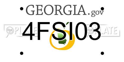 4FSI03 Georgia License Plate