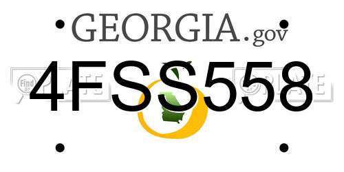 4FSS558 Georgia License Plate