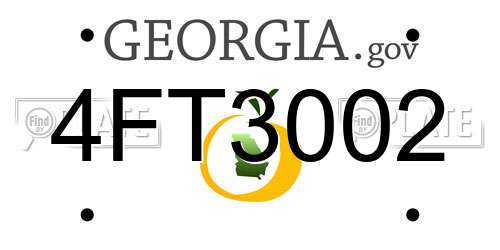 4FT3002 Georgia License Plate