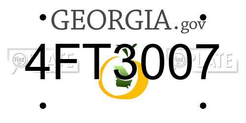 4FT3007 Georgia License Plate
