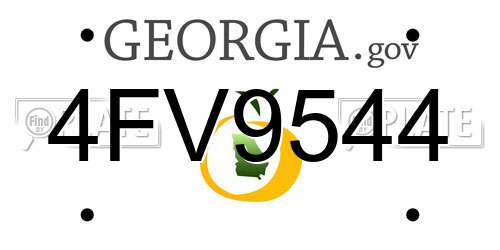 4FV9544 Georgia License Plate