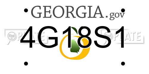 4G18S1 Georgia License Plate