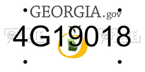 4G19018 Georgia License Plate