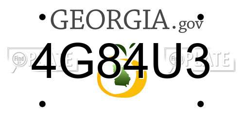4G84U3 Georgia License Plate