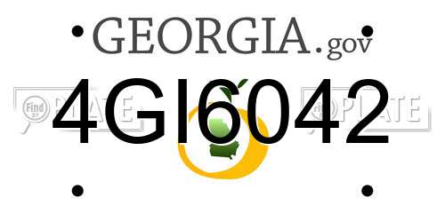 4GI6042 Georgia License Plate