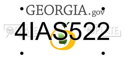 4IAS522 Georgia License Plate