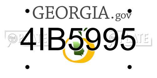 4IB5995 Georgia License Plate