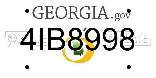 4IB8998 Georgia License Plate