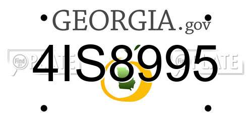 4IS8995 Georgia License Plate