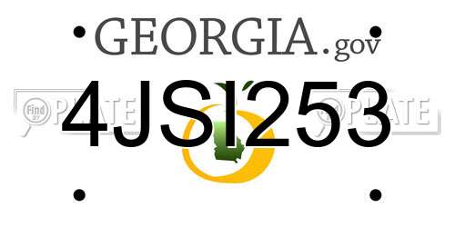 4JSI253 Georgia License Plate