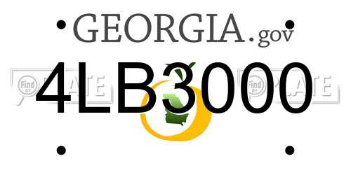 4LB3000 Georgia License Plate
