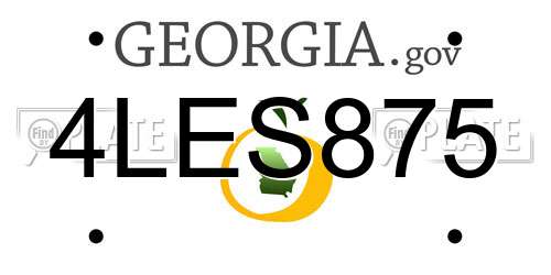 4LES875 Georgia License Plate