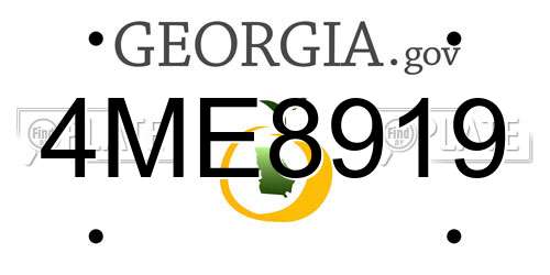 4ME8919 Georgia License Plate