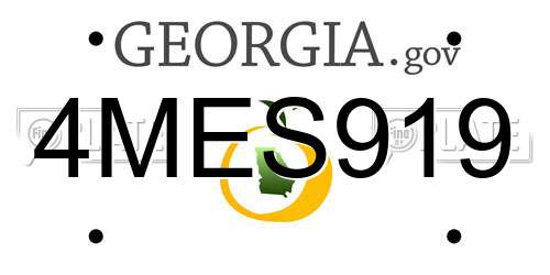 4MES919 Georgia License Plate