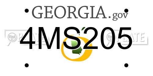 4MS205 Georgia License Plate