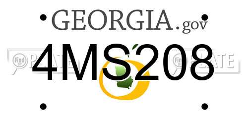 4MS208 Georgia License Plate