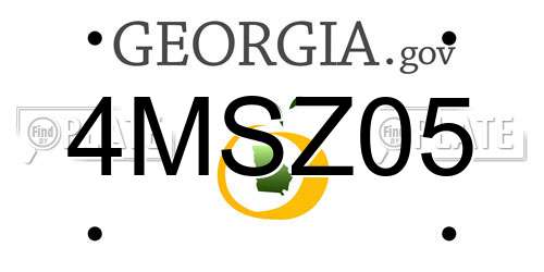 4MSZ05 Georgia License Plate