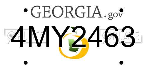4MY2463 Georgia License Plate