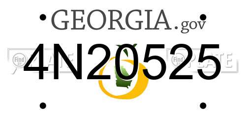 4N20525 Georgia License Plate